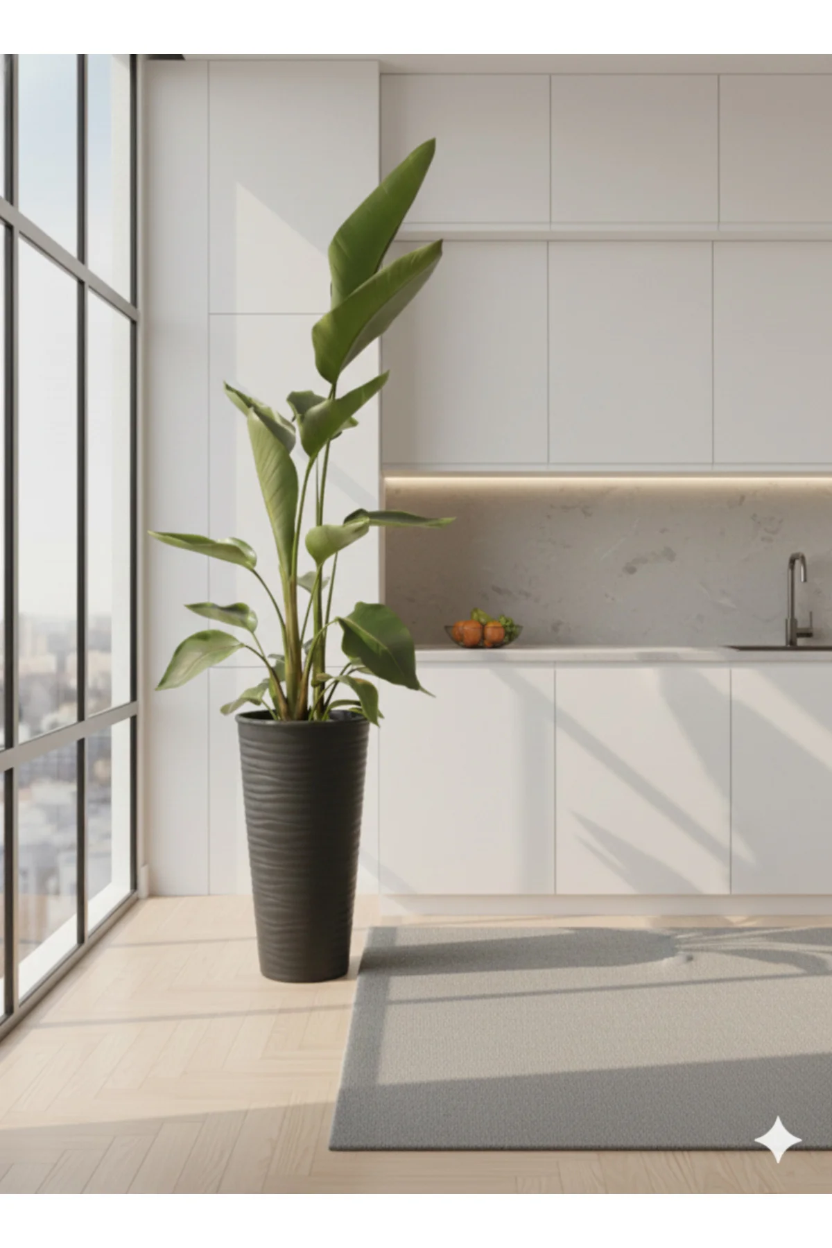 Starliçe Dev Boy Antrasit Saksılı (180-200 cm) - 3 Kök - Modern Ofis ve Evlerin Odağı