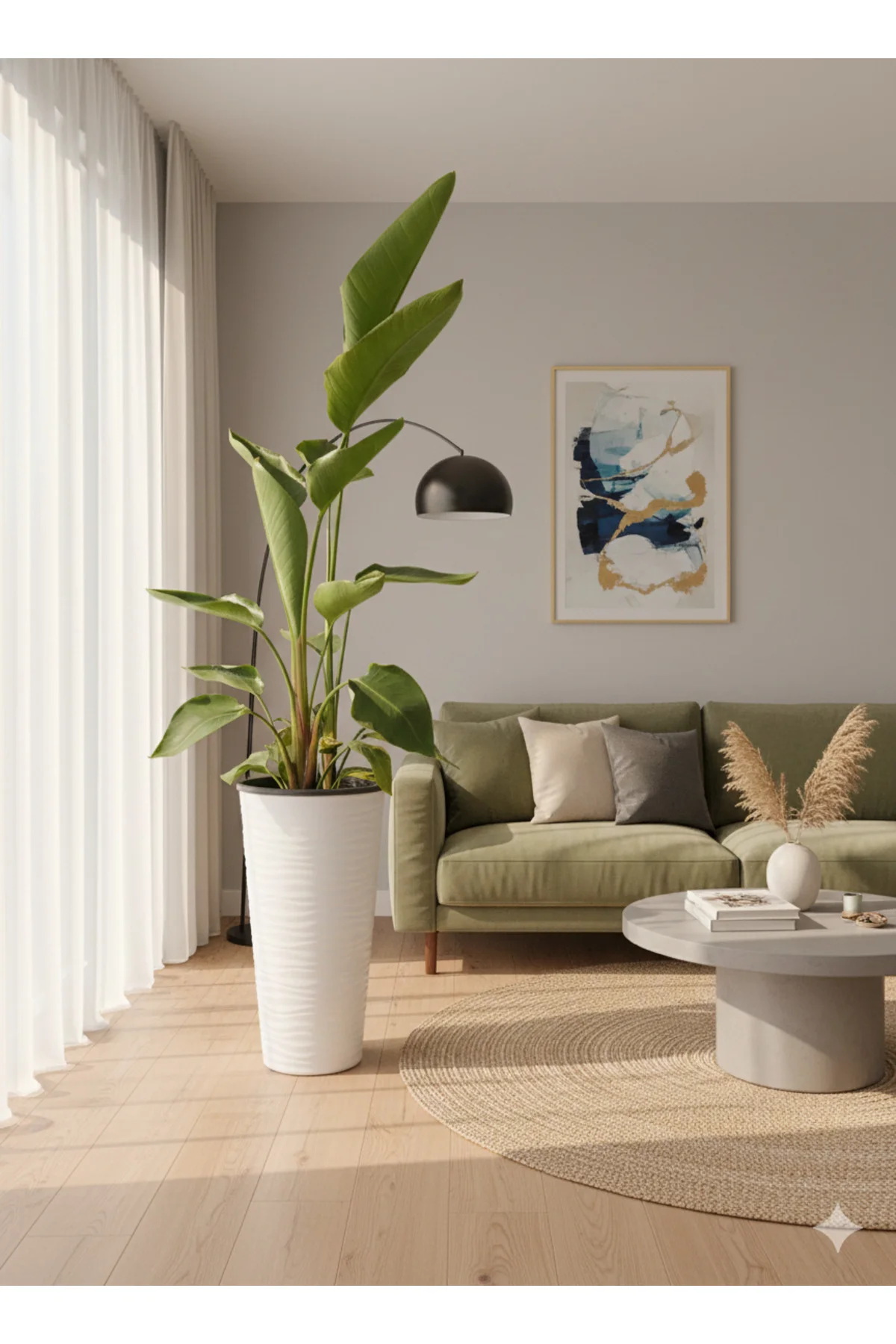Starliçe Dev Boy (Saksı Dahil 180-200 cm) - 3 Kök - Modern Ofis ve Evlerin Odağı