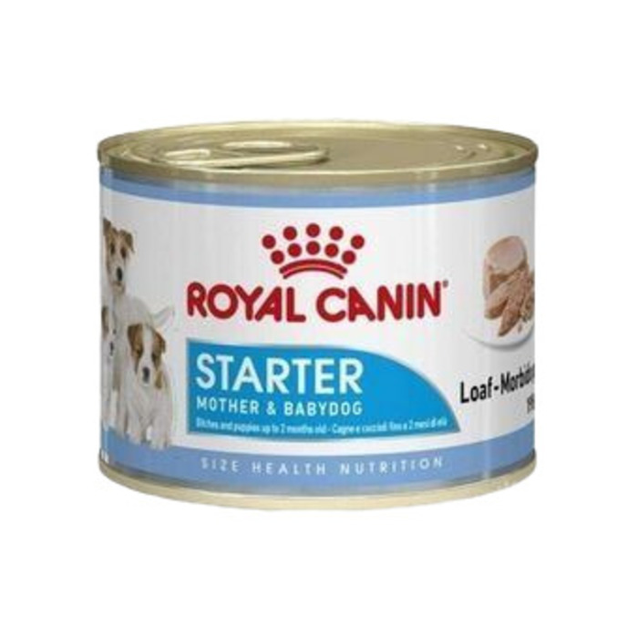 Royal Canin Starter Mousse Anne Ve Yavruları İçin Köpek Konservesi 195 Gr