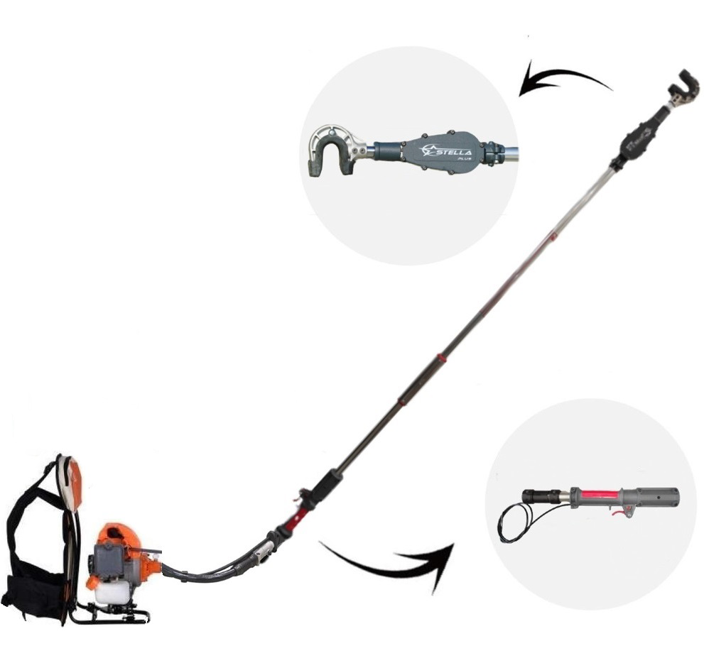 Dakkin Ws-032Y Stella Plus Sp-900 Benzinli Zeytin Hasat Makinesi + Tirpan 3.1 Hp