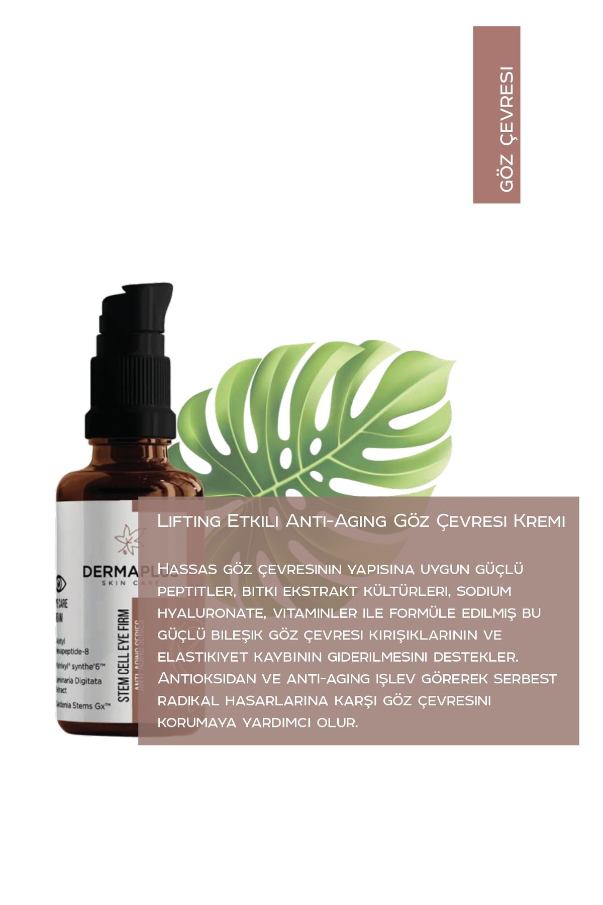 Dermaplus Md Stem Cell Eye Firm