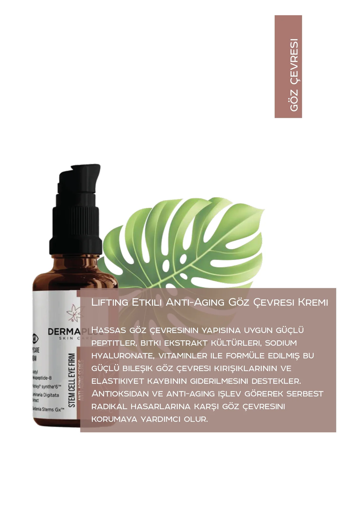 STEM CELL EYE FIRM