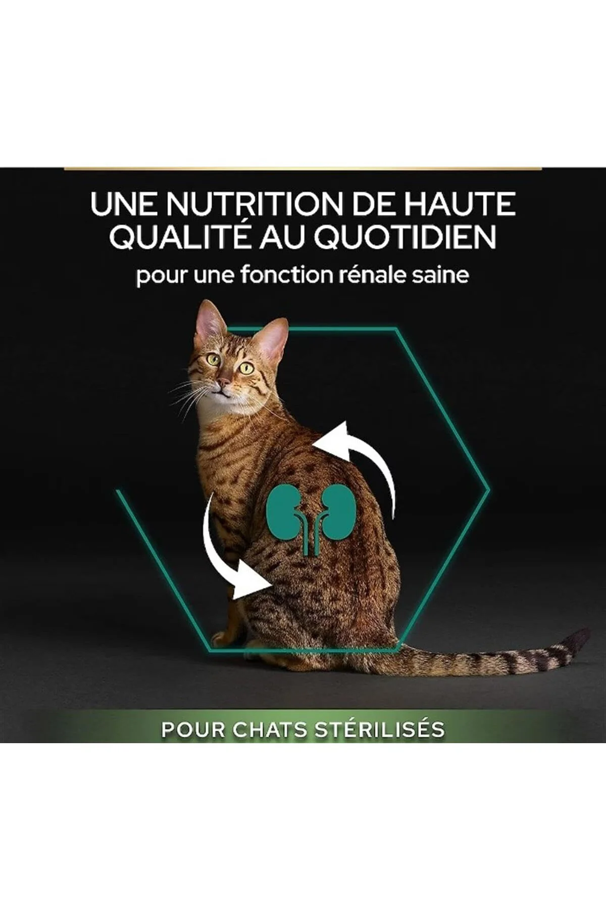Sterilised Hindili Kuru Kedi Maması 10 kg Standart