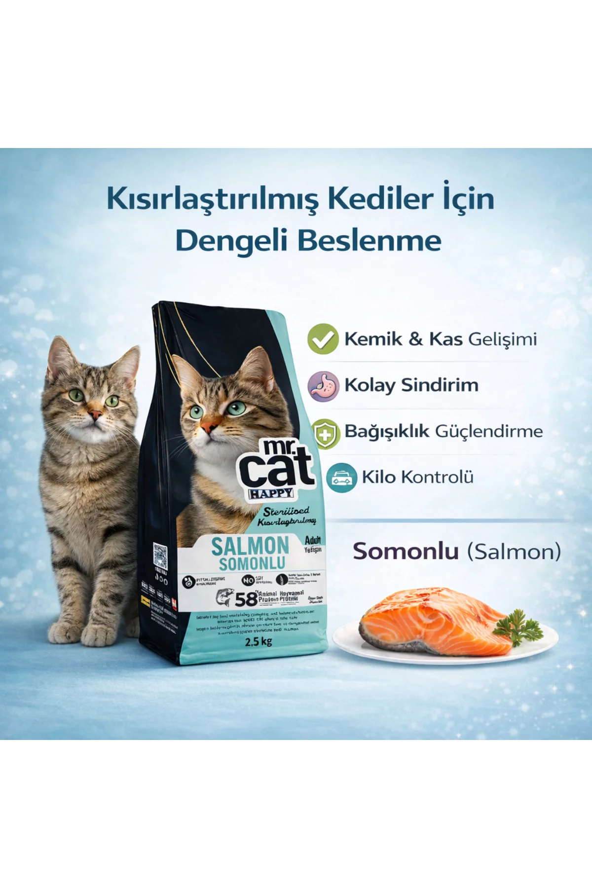 Sterilised Somonlu Kısırlaştırılmış Yetişkin Kedi Maması 2,5 Kg - Sterilised Somonlu Kısırlaştırılmış Yetişkin Kedi Maması 2,5 Kg -