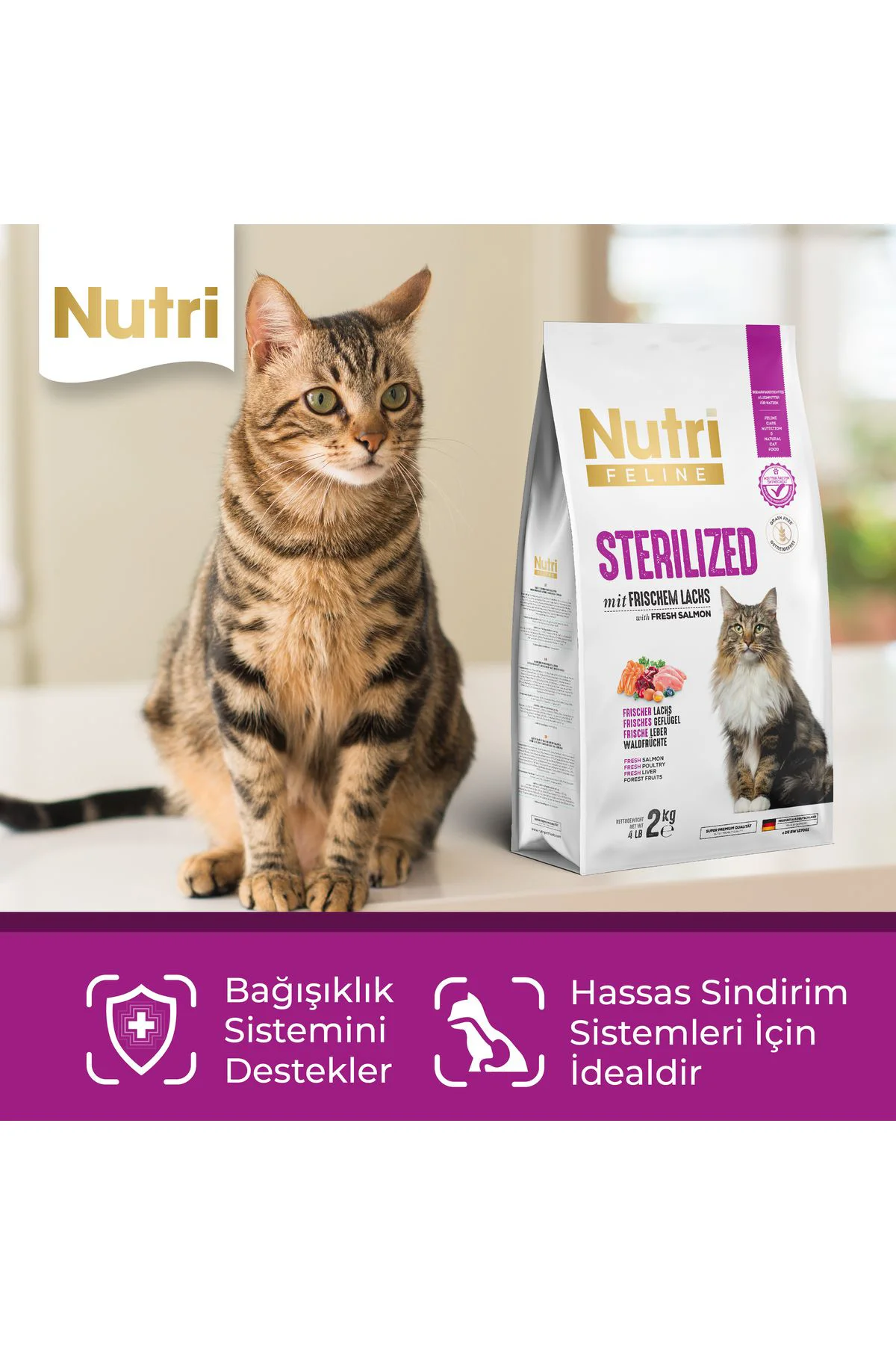Sterilized - Taze Somonlu, Glutensiz ve Tahılsız Kısırlaştırılmış Kedi Maması 2 Kg