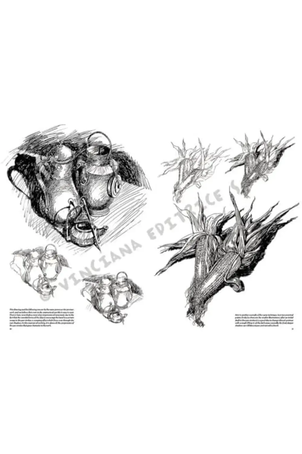 Still Life Desen Kitabı N:24 N 1178227