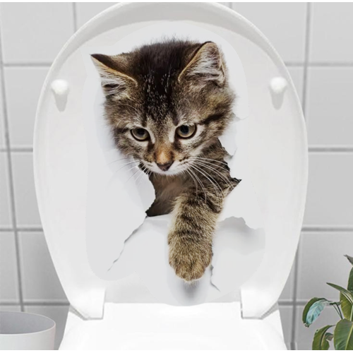 Stray Cat 3D Klozet Stickerı Sokak Kedisi Temalı Komik Tuvalet De