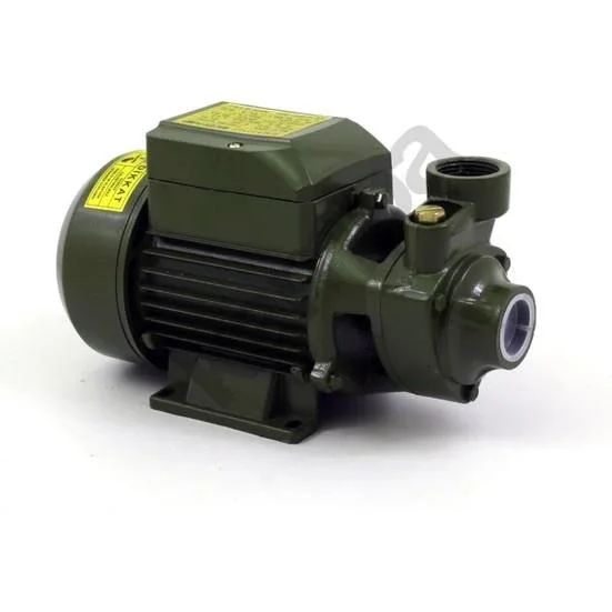 Style Qb60 0.5 Hp Elektrikli Su Dinamosu Style Qb60 0.5 Hp Elektrikli Su Dinamosu