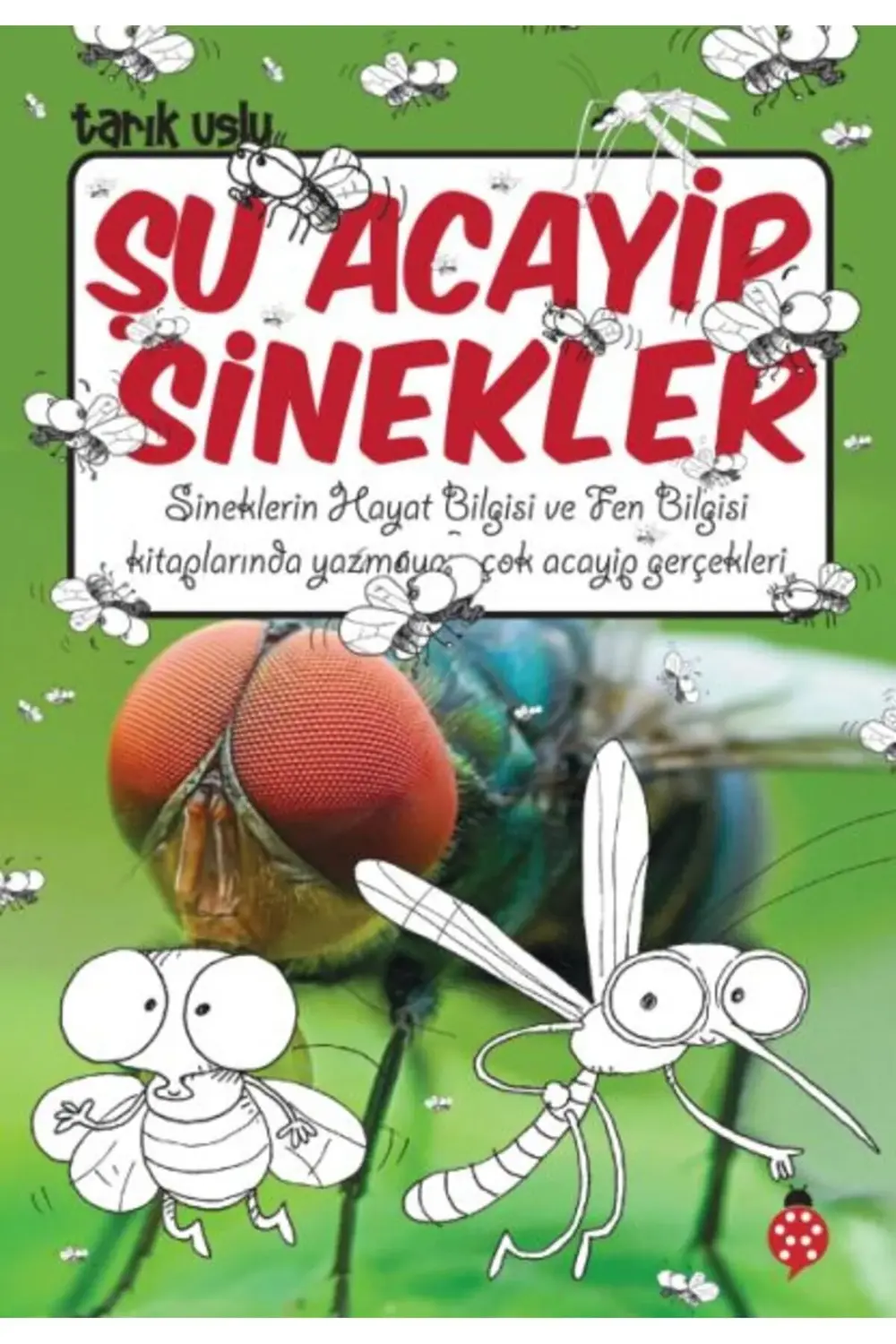 Şu Acayip Sinekler