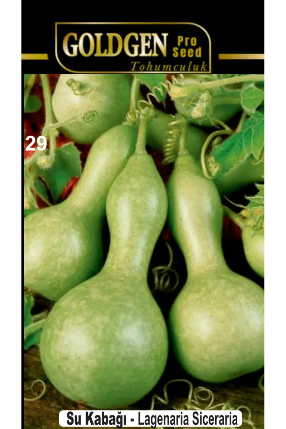 Su Kabağı Tohumu