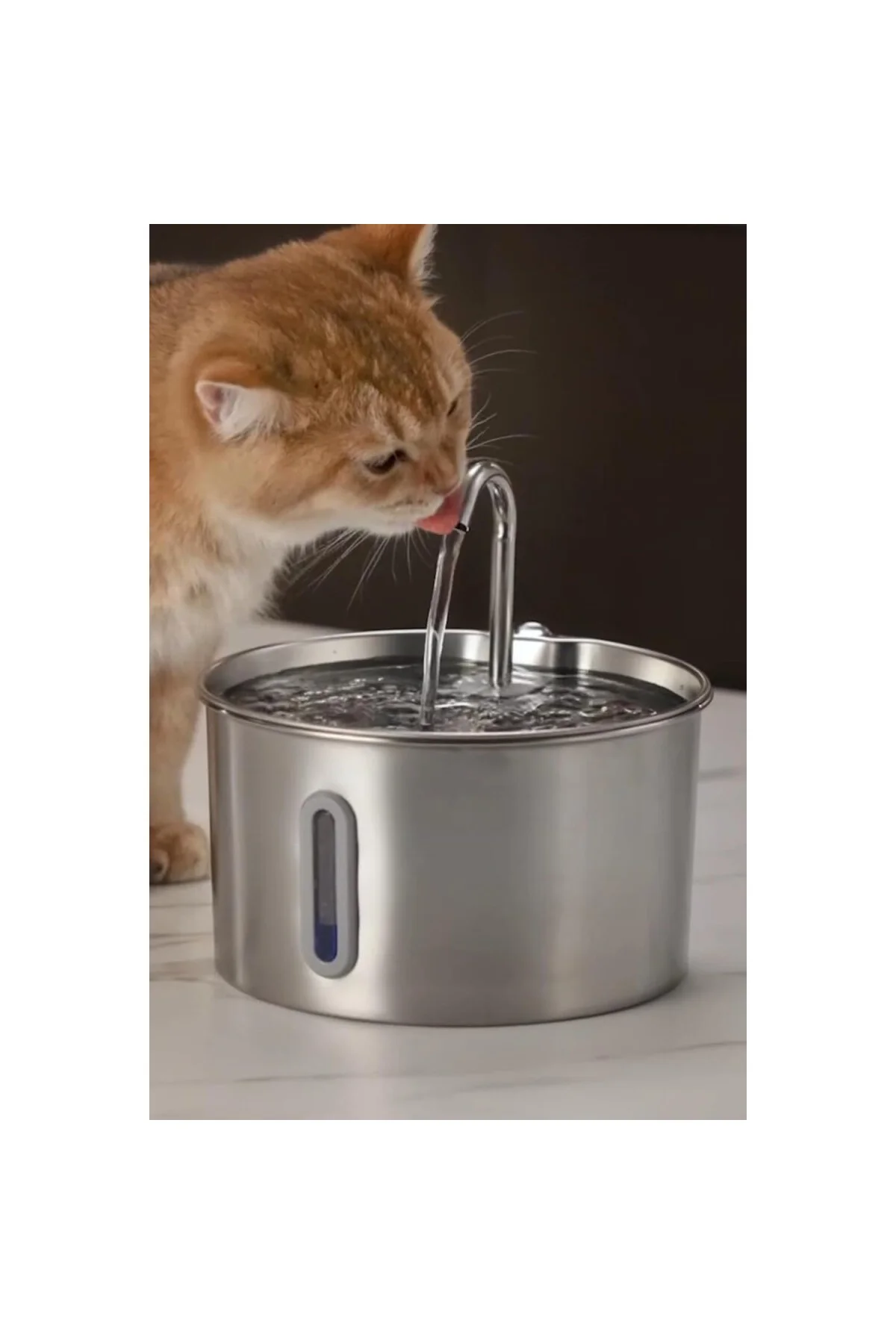 Su Seviyesi Göstergeli 2.2 L Paslanmaz Çelik Kedi Köpek Için Su P