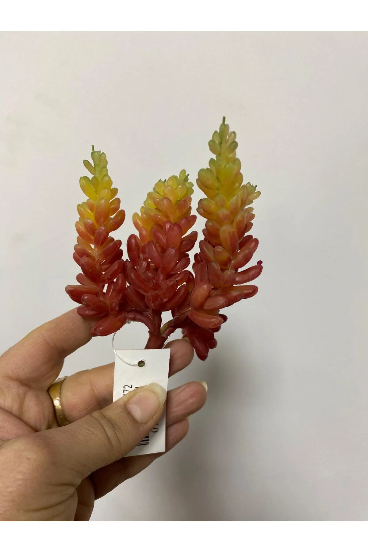 Succulent Islak Doku 15 cm Turuncu
