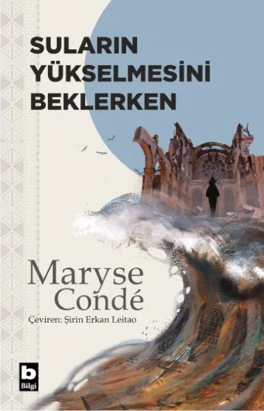 Suların Yükselmesini Beklerken Fiyatı, Yorumları ve Özellikleri