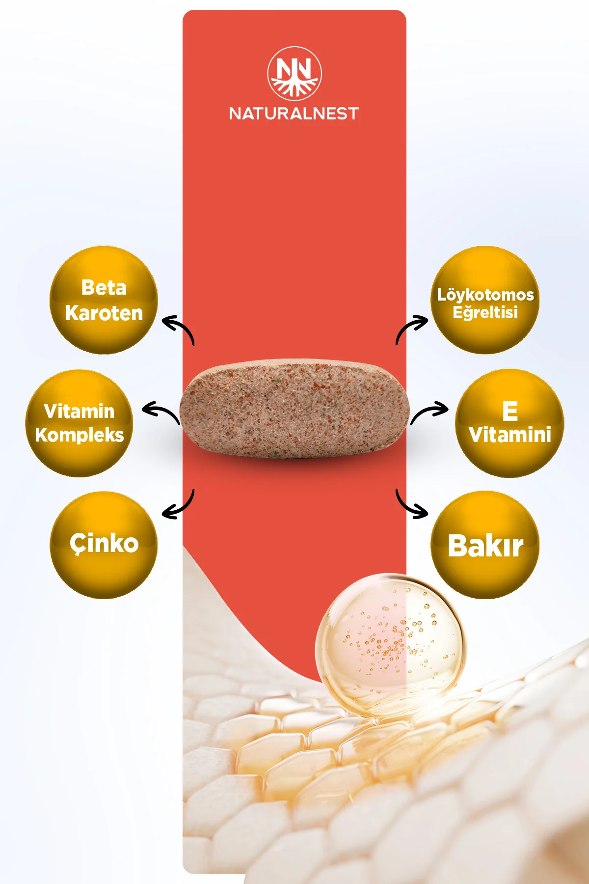 Suntab 30 Tablet - Beta Karoten, Beta Glukan, Yeşil Çay Ekstresi, C vitamini, E Vitamini, Çinko Suntab 30 Tablet - Beta Karoten, Beta Glukan, Yeşil Çay Ekstresi, C vitamini, E Vitamini, Çinko