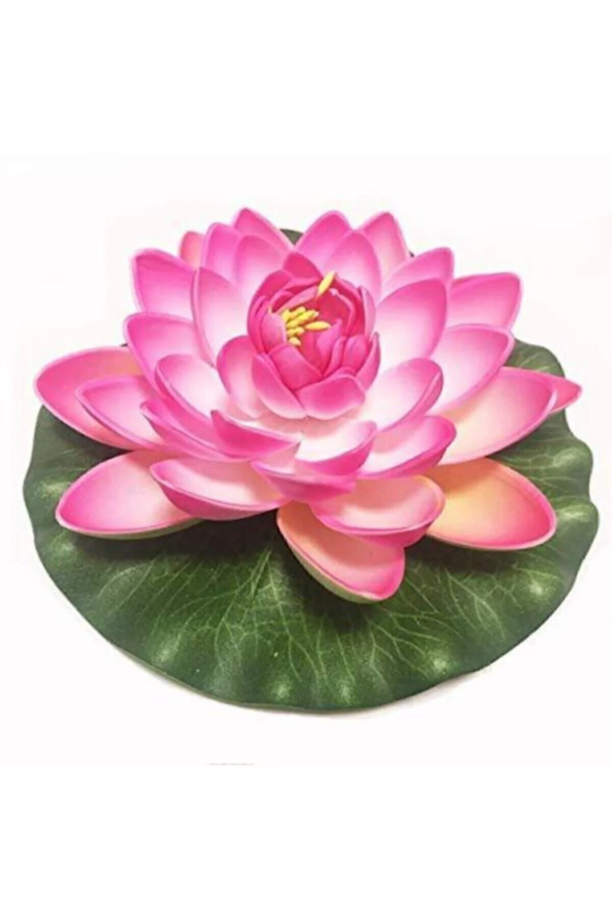 Süper Paket 20 Adet Tohum Lotus Tohumu Nilüfer Çiçeği Tohumu Süper Paket 20 Adet Tohum Lotus Tohumu Nilüfer Çiçeği Tohumu