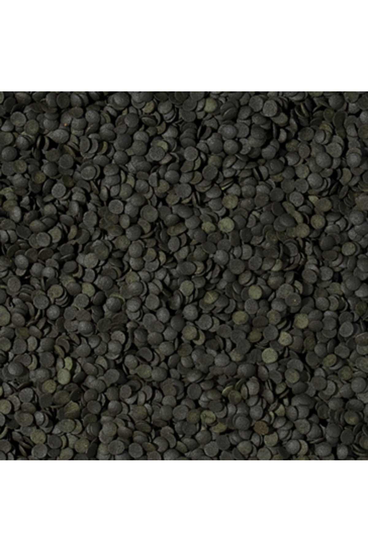 Super Spirulina Forte Chips 50 Gram Balık Yemi