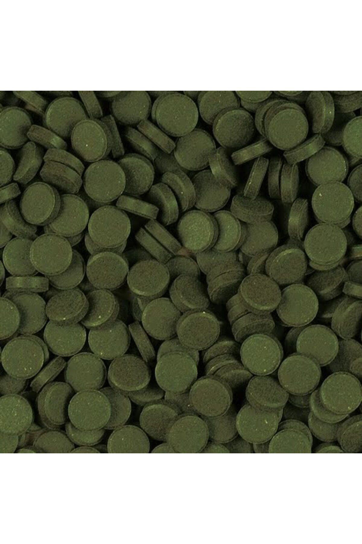 Super Spirulina Forte Tablets - 50 Adet - Tablet balık yemi - Cam