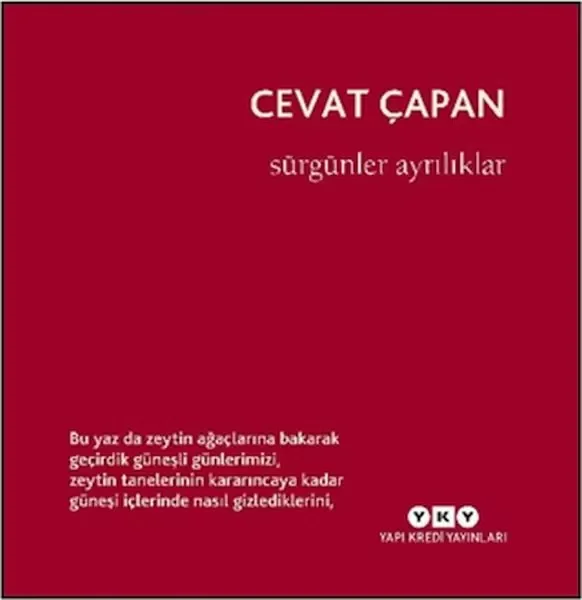 Süper Tavşan Simon: Bunu İstiyorum!