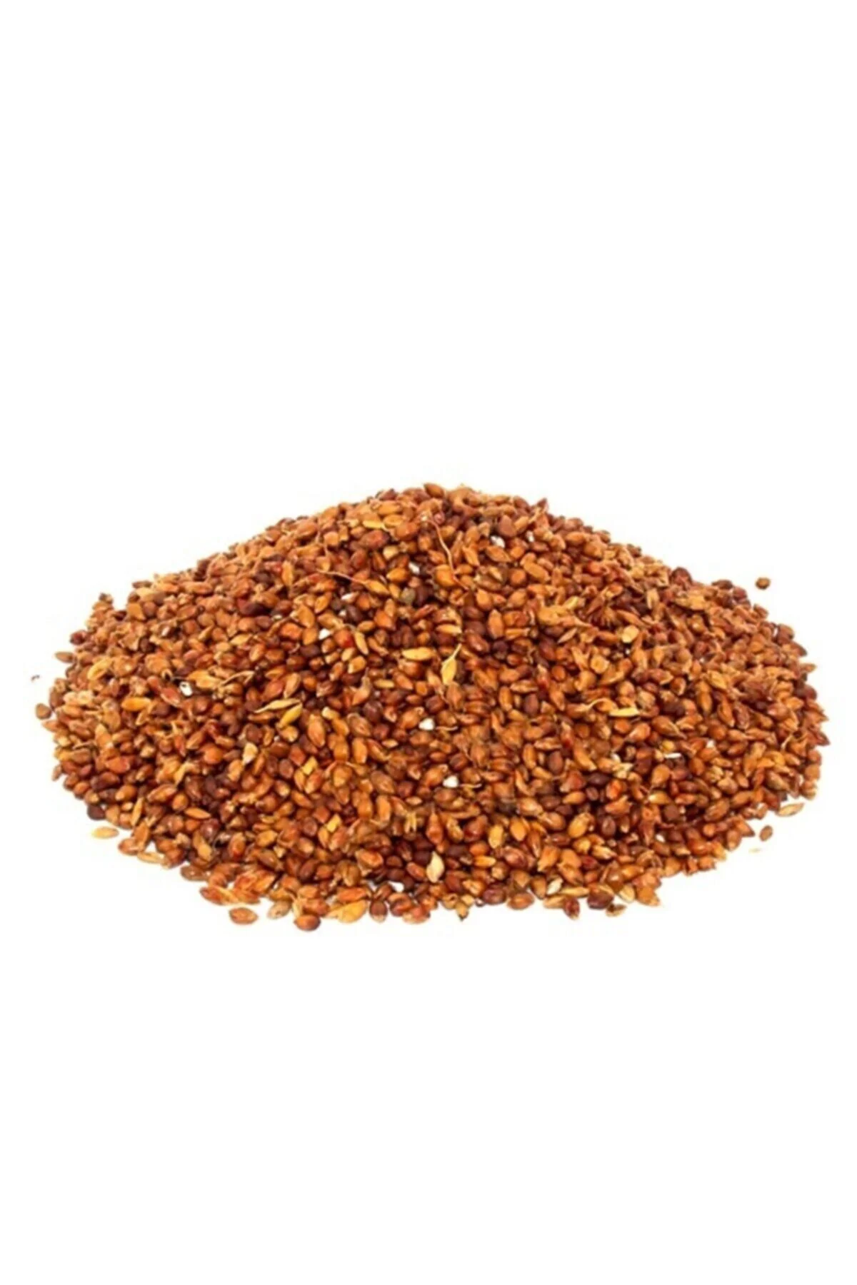 Süpürge Otu Tohumu 50 Gram Fiyatı, Yorumları ve Özellikleri