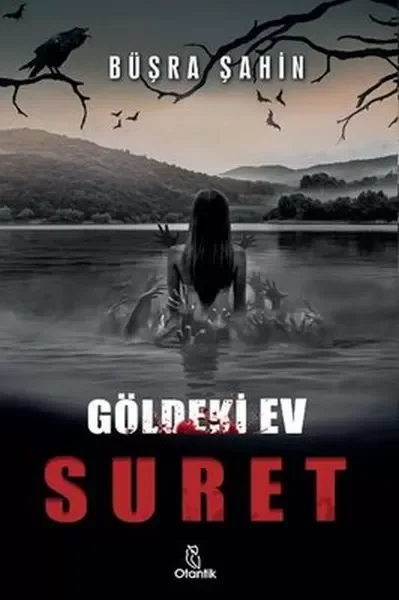 Suret Fiyatı, Yorumları ve Özellikleri