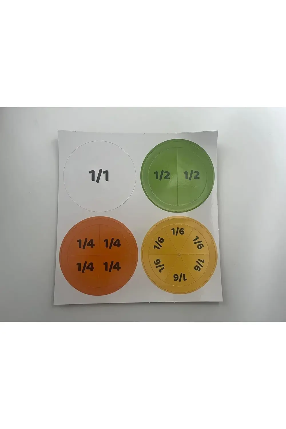 svngsphereshop Mıknatıslı Montessori Kesir Eğitimi Öğrenme Seti s