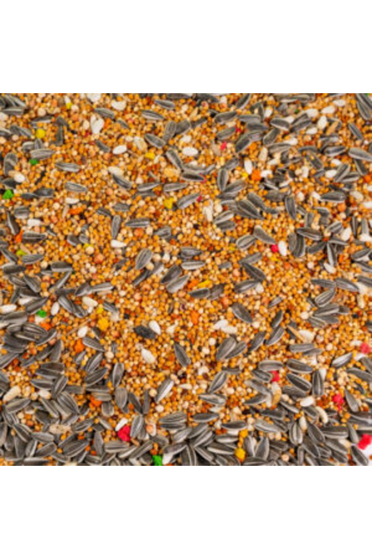 Tnt Shop T-Bird Papağan Yemi 1 Kg Tnt Shop T-Bird Papağan Yemi 1 Kg