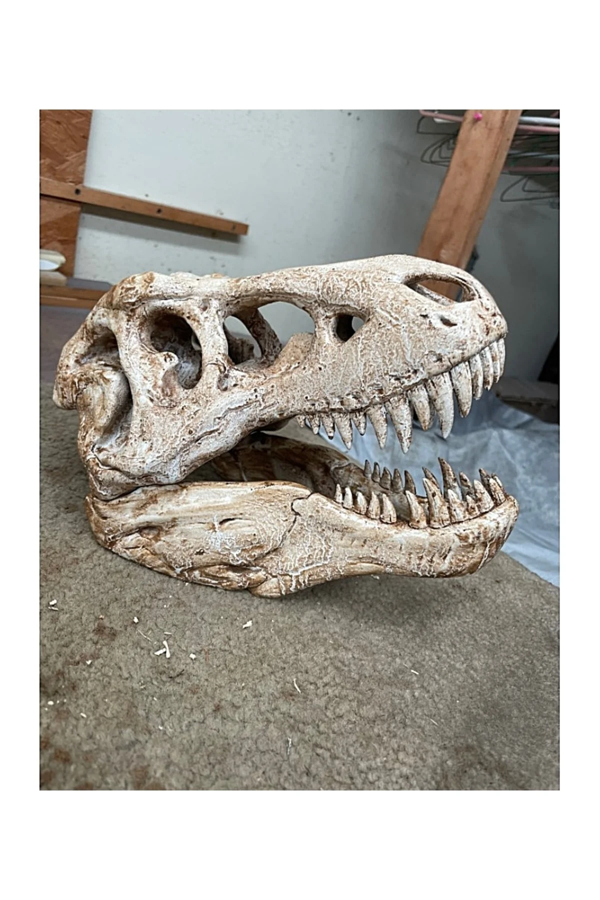 T-rex Kafatası Figür 20 cm