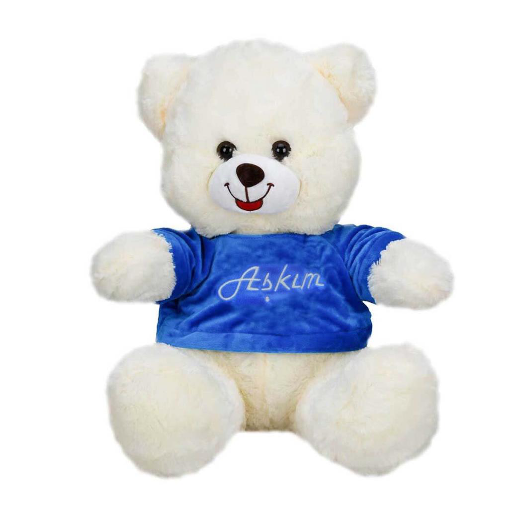 T-Shirtlü Oturan Peluş Ayı T-Shirtlü Oturan Peluş Ayı