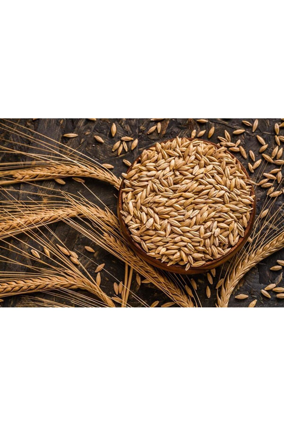 Tnt Shop T-Yem Arpa Tane 10 Kg - Çiftlik Hayvanları İçin Kaliteli Yem Seçe Tnt Shop T-Yem Arpa Tane 10 Kg - Çiftlik Hayvanları İçin Kaliteli Yem Seçe