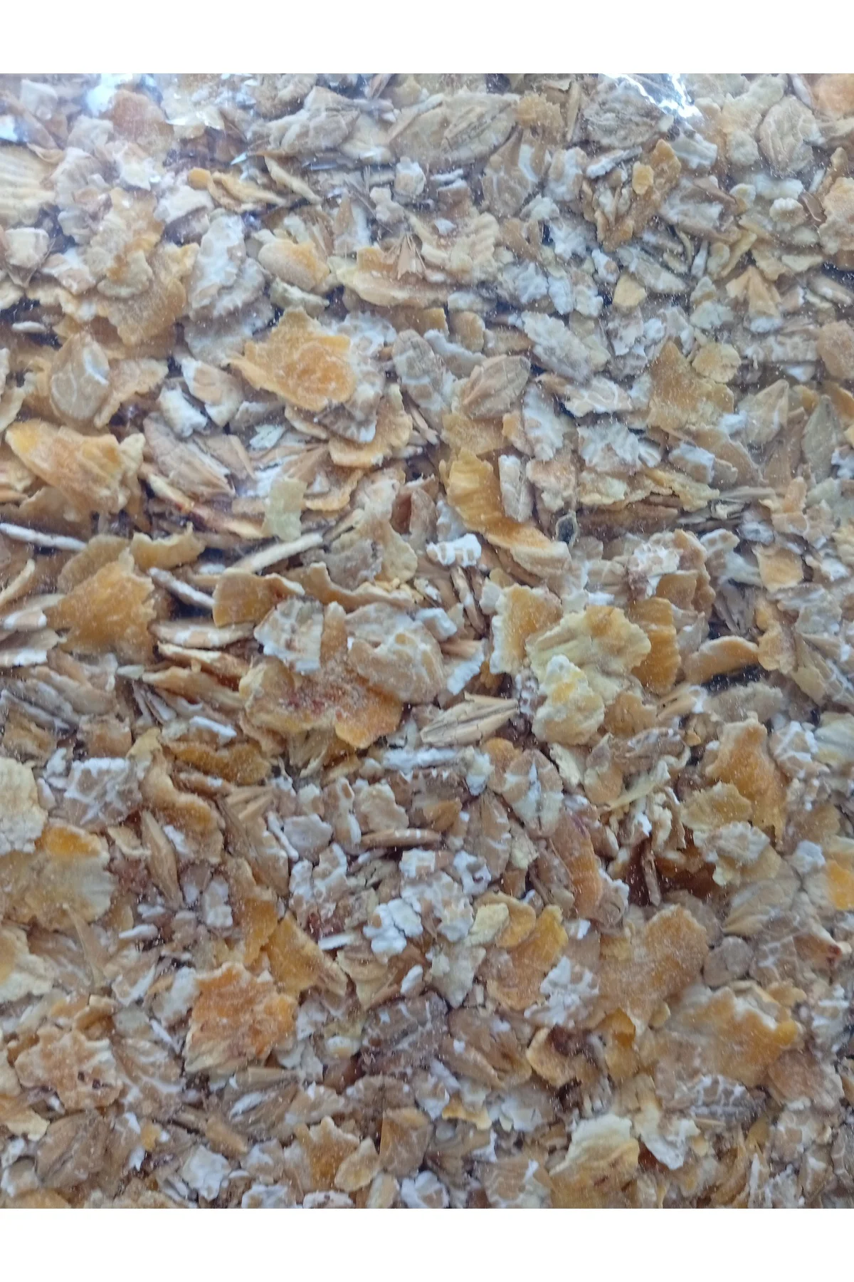 T-YEM Mix Flake 10 Kg - Mısır ve Arpa Ezme Flake Yem