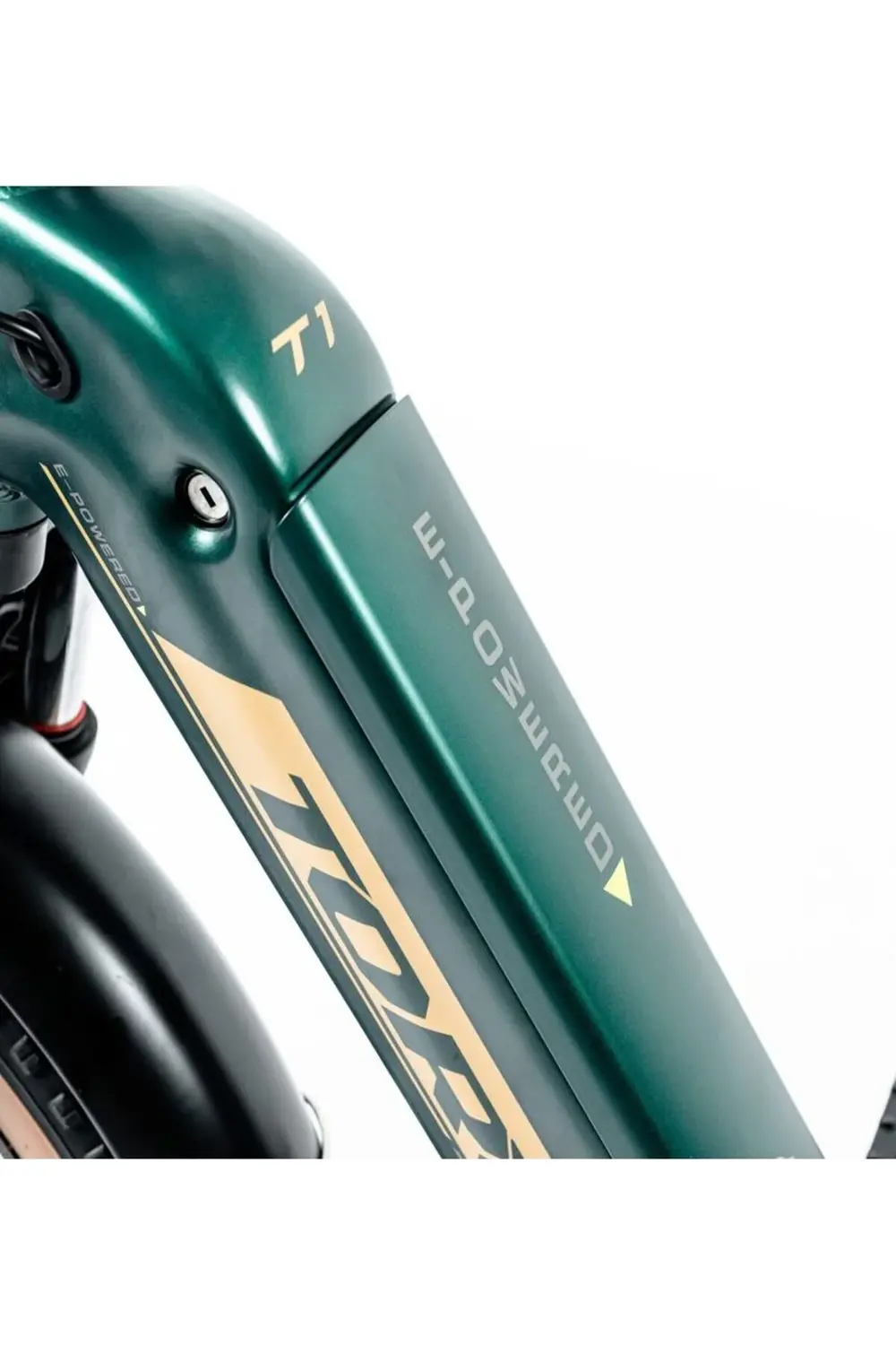 T1 F elektrikli katlanır bisiklet (20 jant)