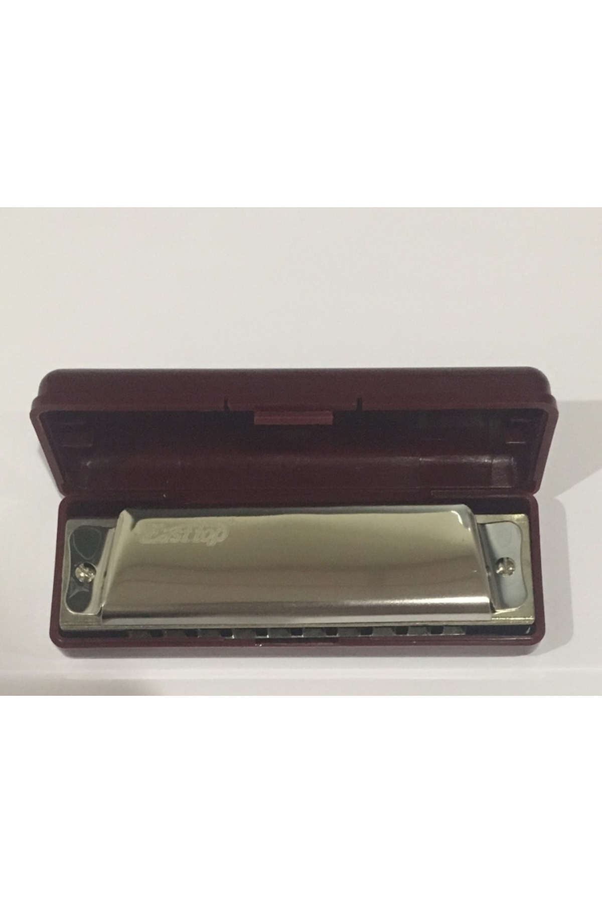 T10 Paslanmaz Çelik Gövde 10 Delikli Mızıka Gümüş-Altın Renk Harm