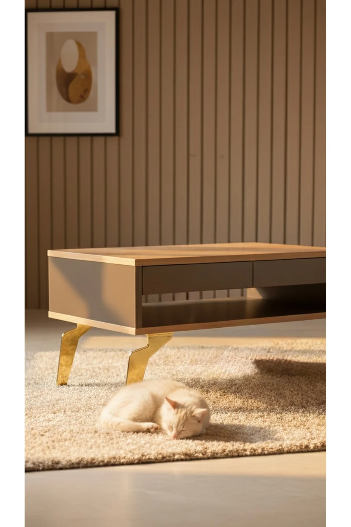 Tabanca Ayak Gold 15cm-Modern Metal Ayak-TV Ünitesi Ayağı-Koltuk Ayağı-Kanepe Ayağı-Berjer Ayağı-Orta Sehpa Ayağı