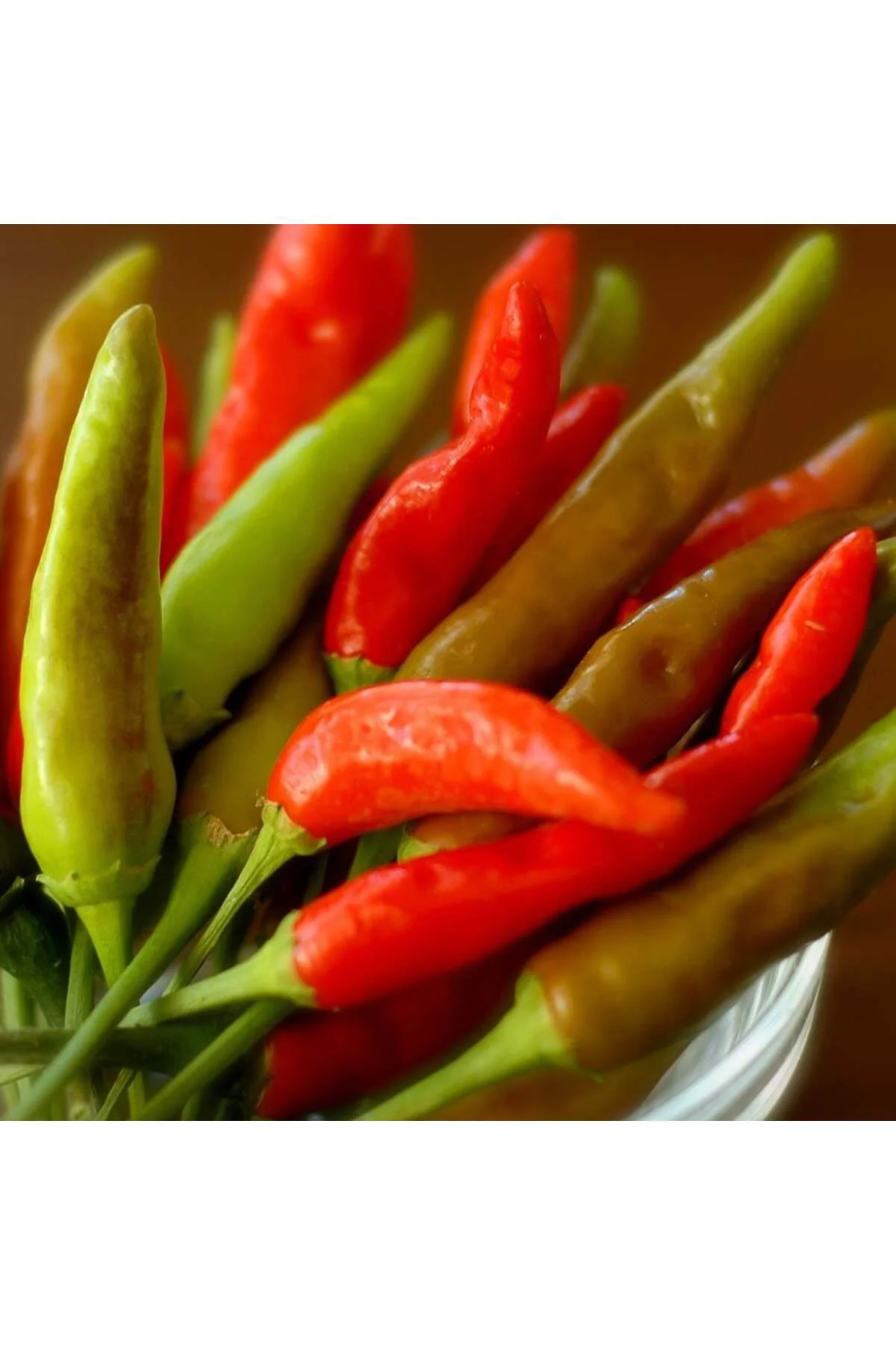 Tabasco acı biber tohumu Tabasco acı biber tohumu Fiyatı, Yorumları ve Özellikleri
