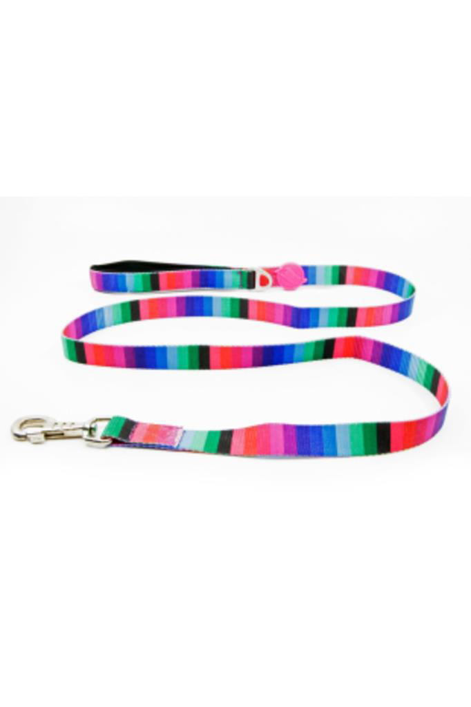 Tailpetz Air Köpek Gezdirme Kayışı Spirit Match Leash 135 cm