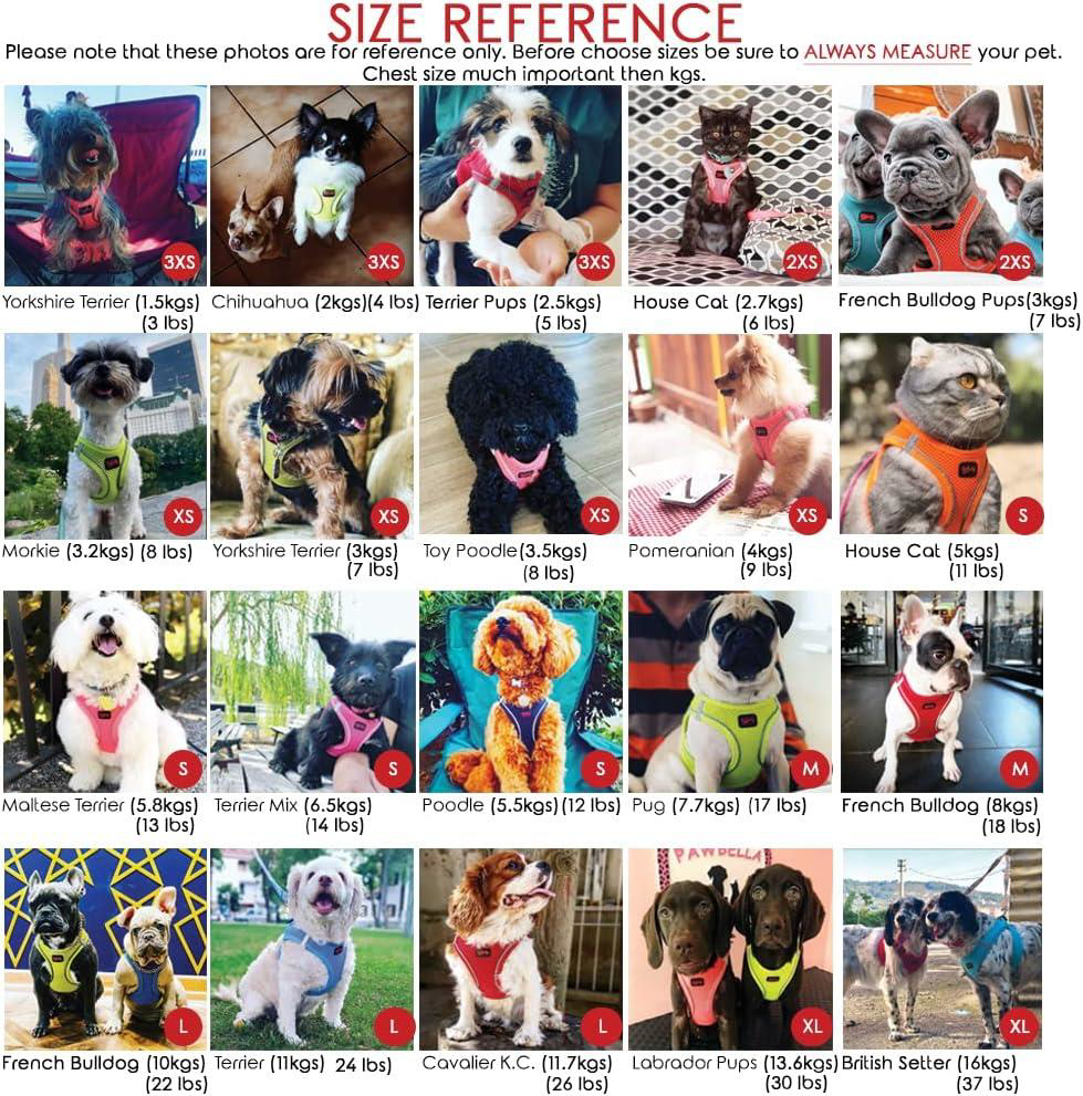 Tailpetz Air Mesh Harness Göğüs Tasması Lilac Large