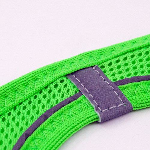 Tailpetz Air Mesh Harness Göğüs Tasması Neo Green Large Tailpetz Air Mesh Harness Göğüs Tasması Neo Green Large