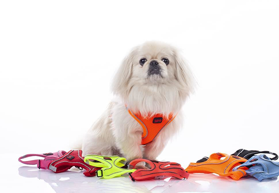 Tailpetz Air Mesh Harness Göğüs Tasması Neon Lime XLarge