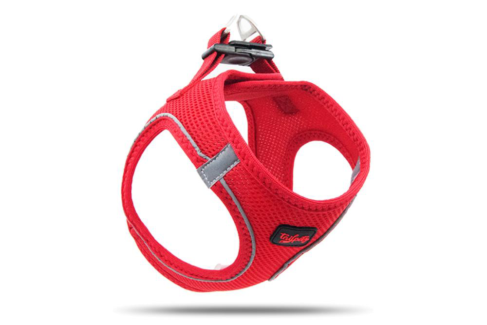 Tailpetz Air Mesh Harness Göğüs Tasması Neon Kırmızı 2XSmall