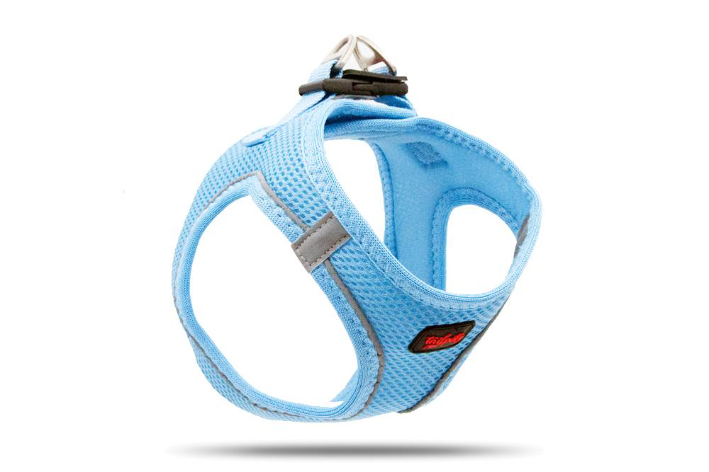 Tailpetz Air Mesh Harness Göğüs Tasması Mavi XLarge