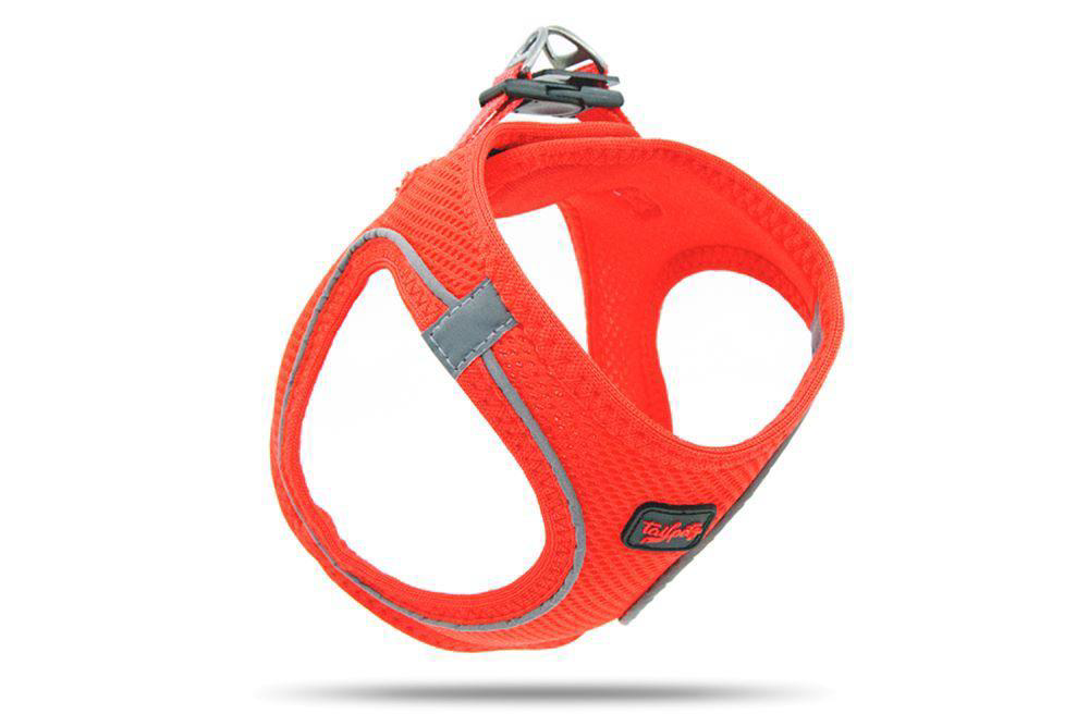 Tailpetz Air Mesh Harness Göğüs Tasması Garnet Medium