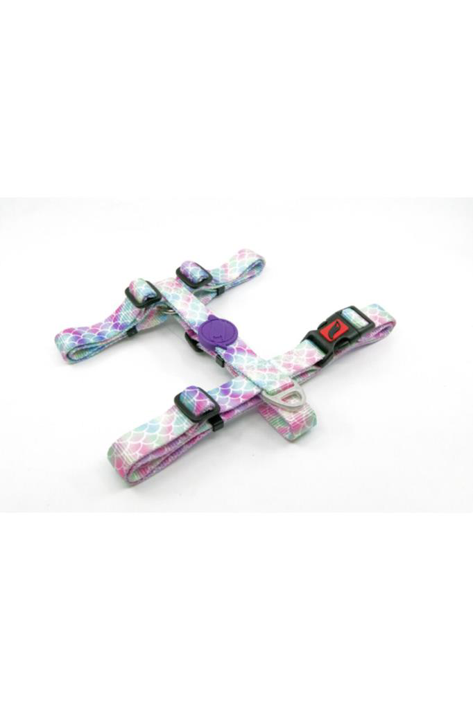 Tailpetz H Tipi Harness Bubbles Orta Irk Köpek Göğüs Tasması 42-6