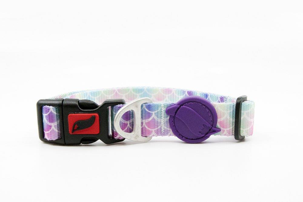 Tailpetz Weecol Bubbles Collar Köpek Boyun Tasması S Boynu 25-40c