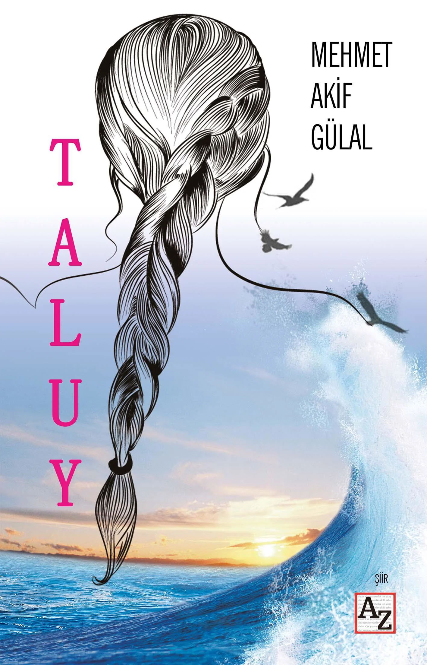 Taluy - Mehmet Akif Gülal Taluy - Mehmet Akif Gülal