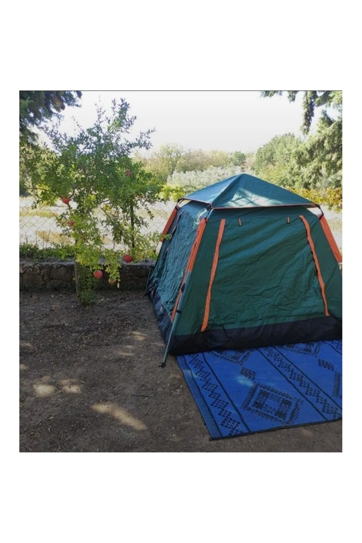 Tam Otomatik Tenteli 4-6 Kişilik Kamp Çadırı 240x240x155 Cm