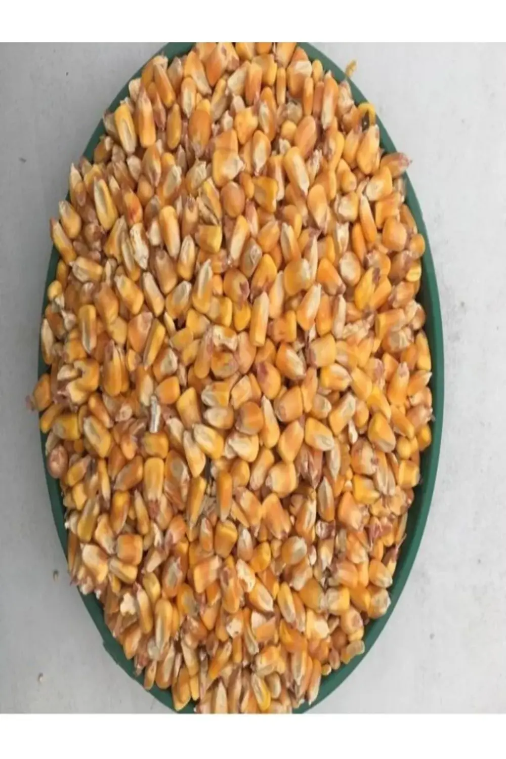 Tane Mısır 2.5 Kg Tüm Mısır Yemlik Mısır Hayvan Yemi "balık Yemi"