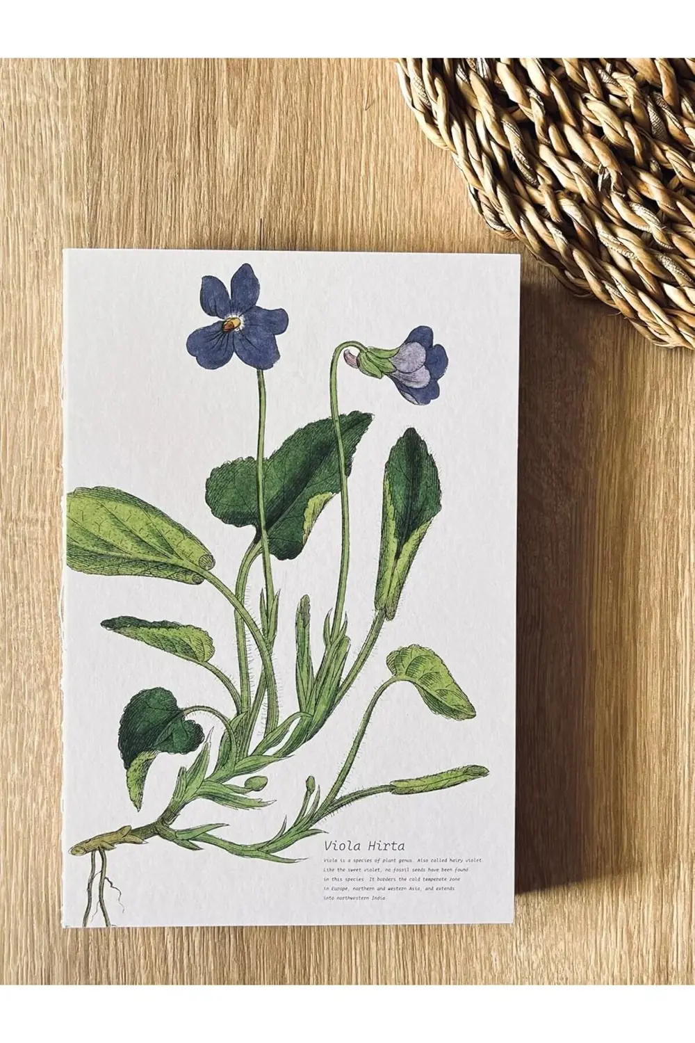 Tanıtım Özel Tasarım Baskılı Kapaklı A5 Not Defteri - 180 Derece