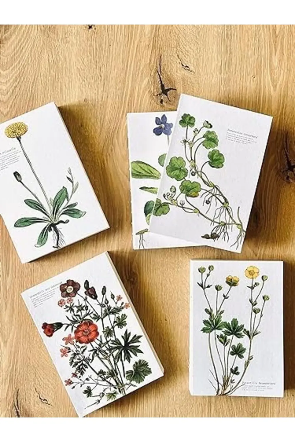 Tanıtım Özel Tasarım Baskılı Kapaklı A5 Not Defteri - 180 Derece