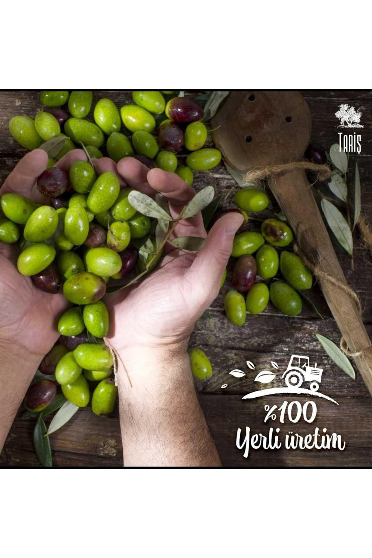 Tariş Kuzey Ege Natürel Sızma Zeytinyağı 2 Litre
