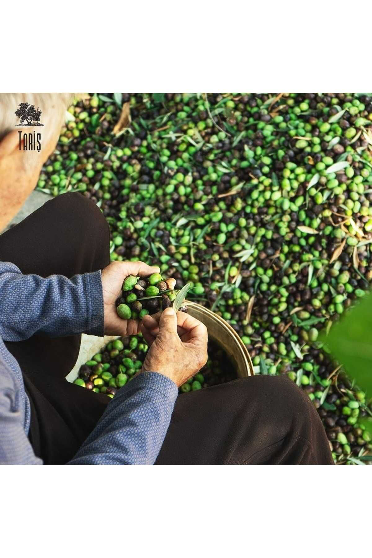 Tariş Kuzey Ege Natürel Sızma Zeytinyağı 2 Litre